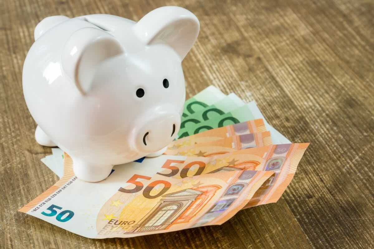 Salvadanaio maiale, banconote euro